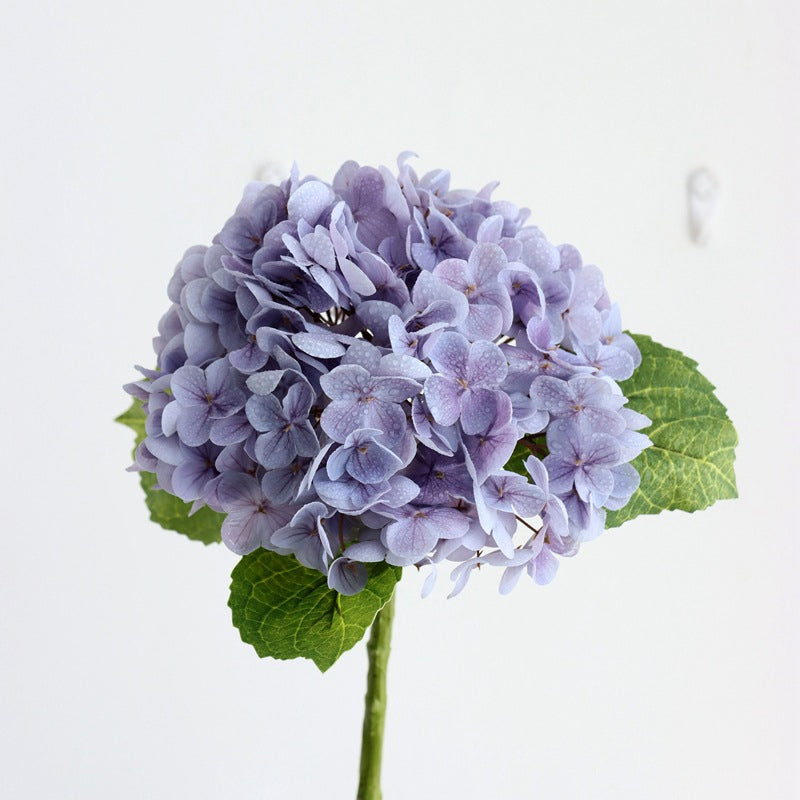 HydrangeaAura - Eternal Living Flowers Without Any Care