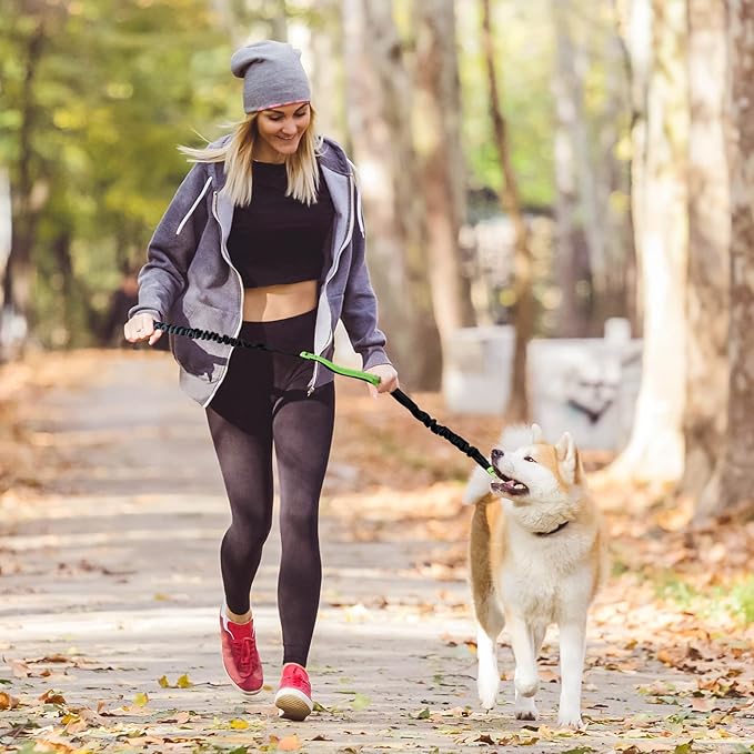 PawsFree Pro – Stress-Free Walks with Your Dog