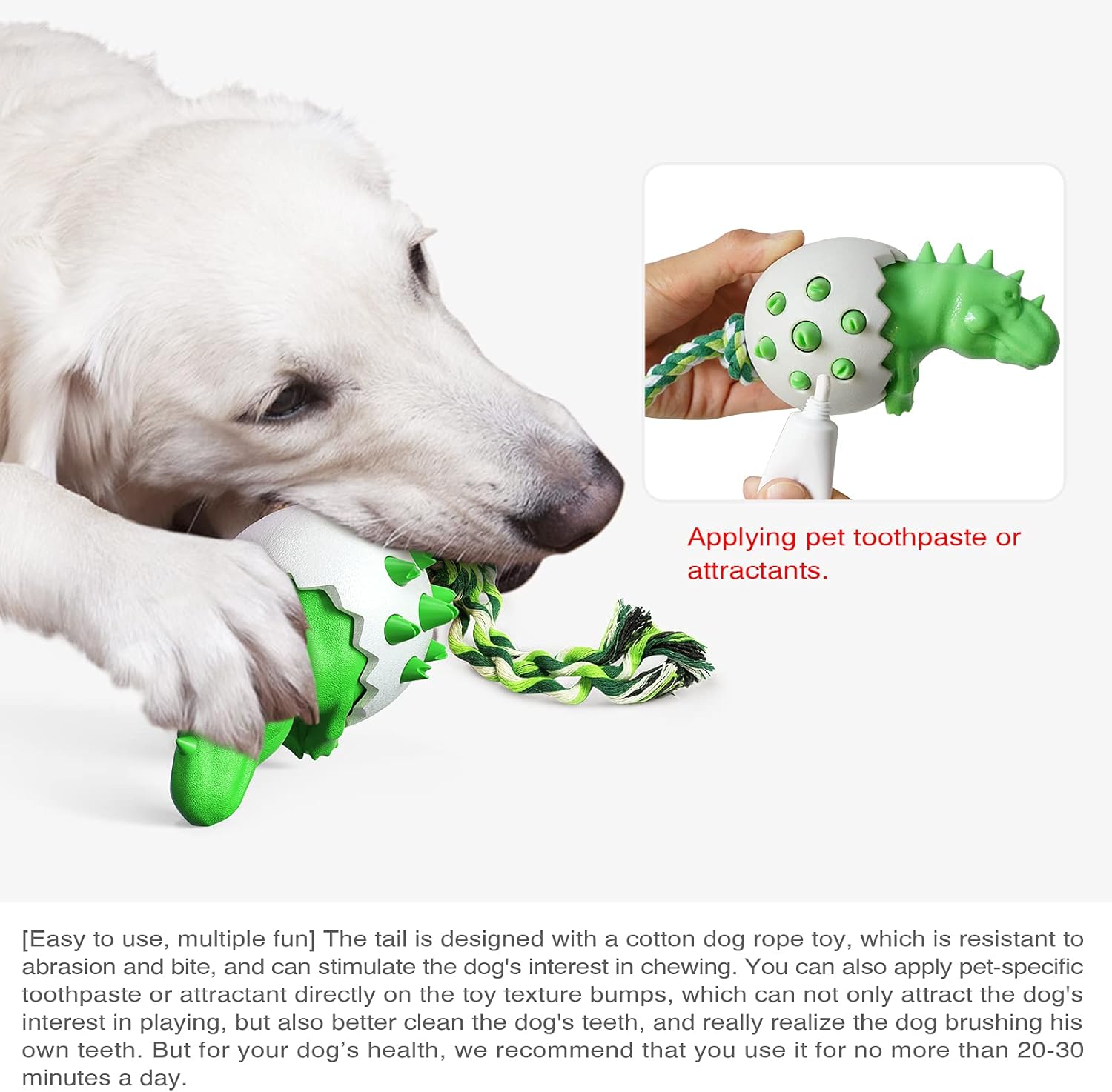 DinoEgg – The Indestructible Chew Egg for Healthy Dog Teeth!