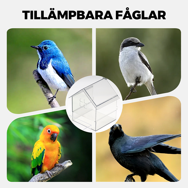 ClearFeast Bird – Clean feeding without food mess