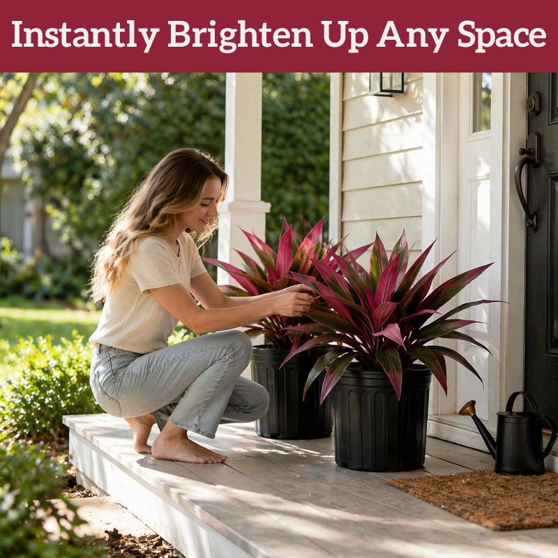 GreenViva – Lifelike plants that stay fresh without maintenance