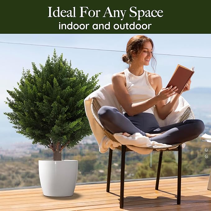 1+1 FREE | EverGreen – Evergreen Elegance Without Maintenance!