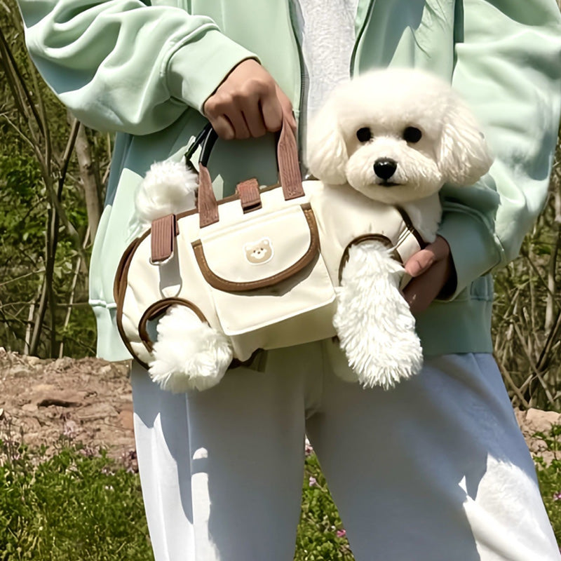 PetGo – Comfort & Safety for You and Your Pet