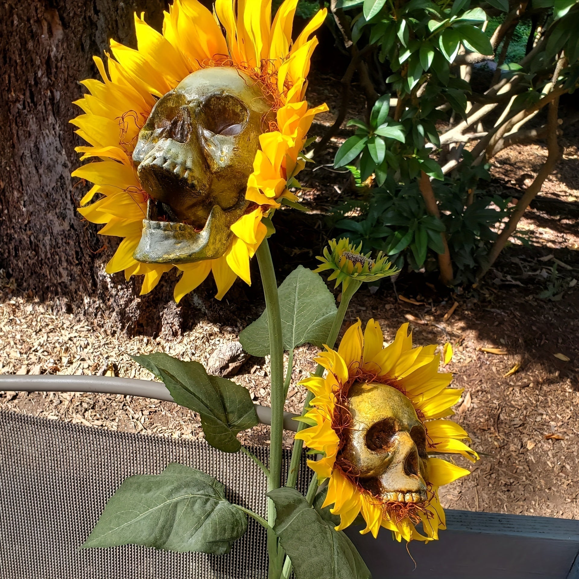 BloomSkull – The Spookily Beautiful Sunflower for Halloween!