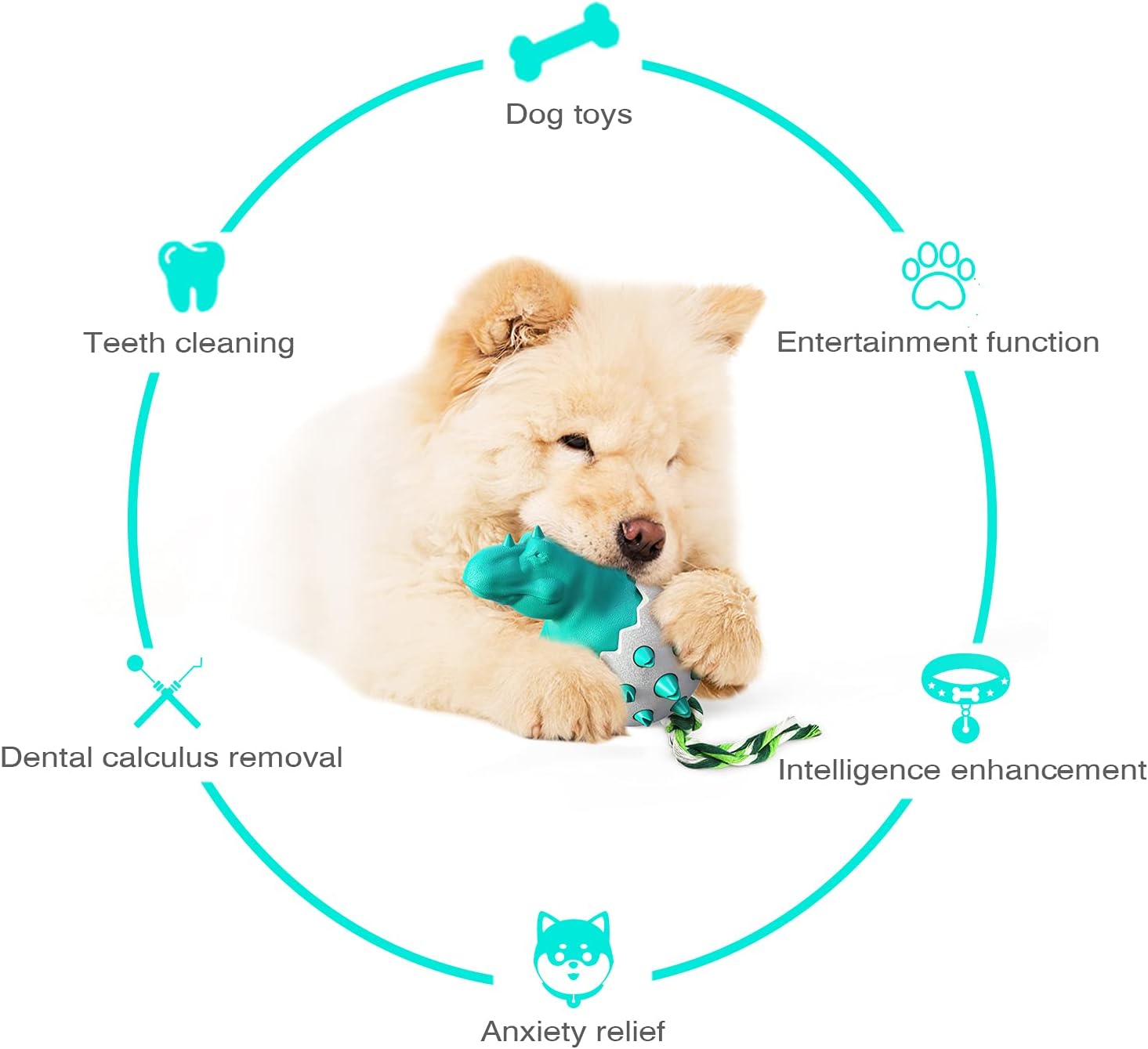 DinoEgg – The Indestructible Chew Egg for Healthy Dog Teeth!