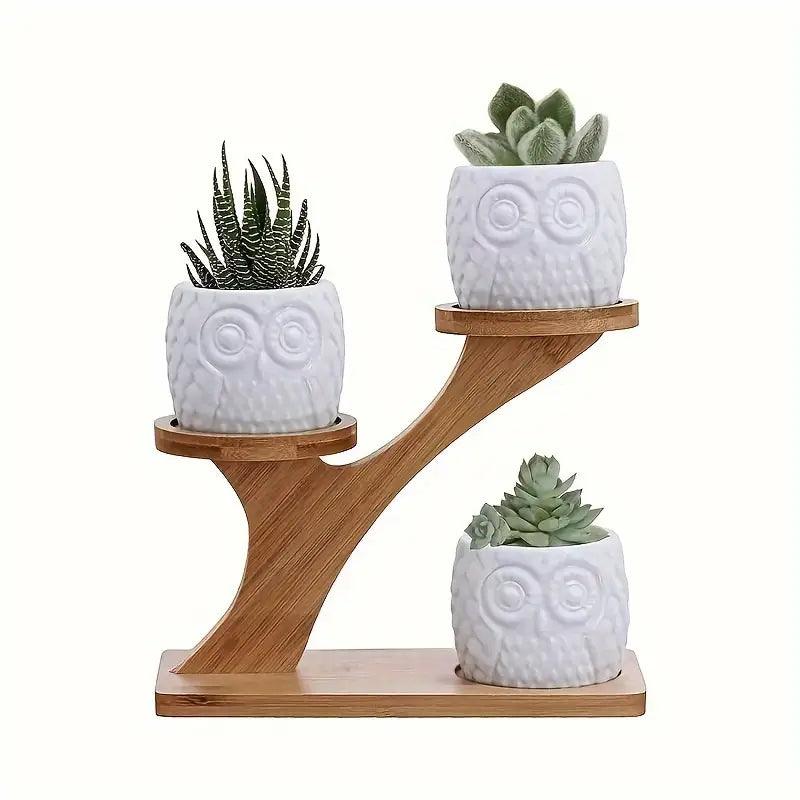EcoBamboo - Organize and Display Your Plants Stylishly and Instantly