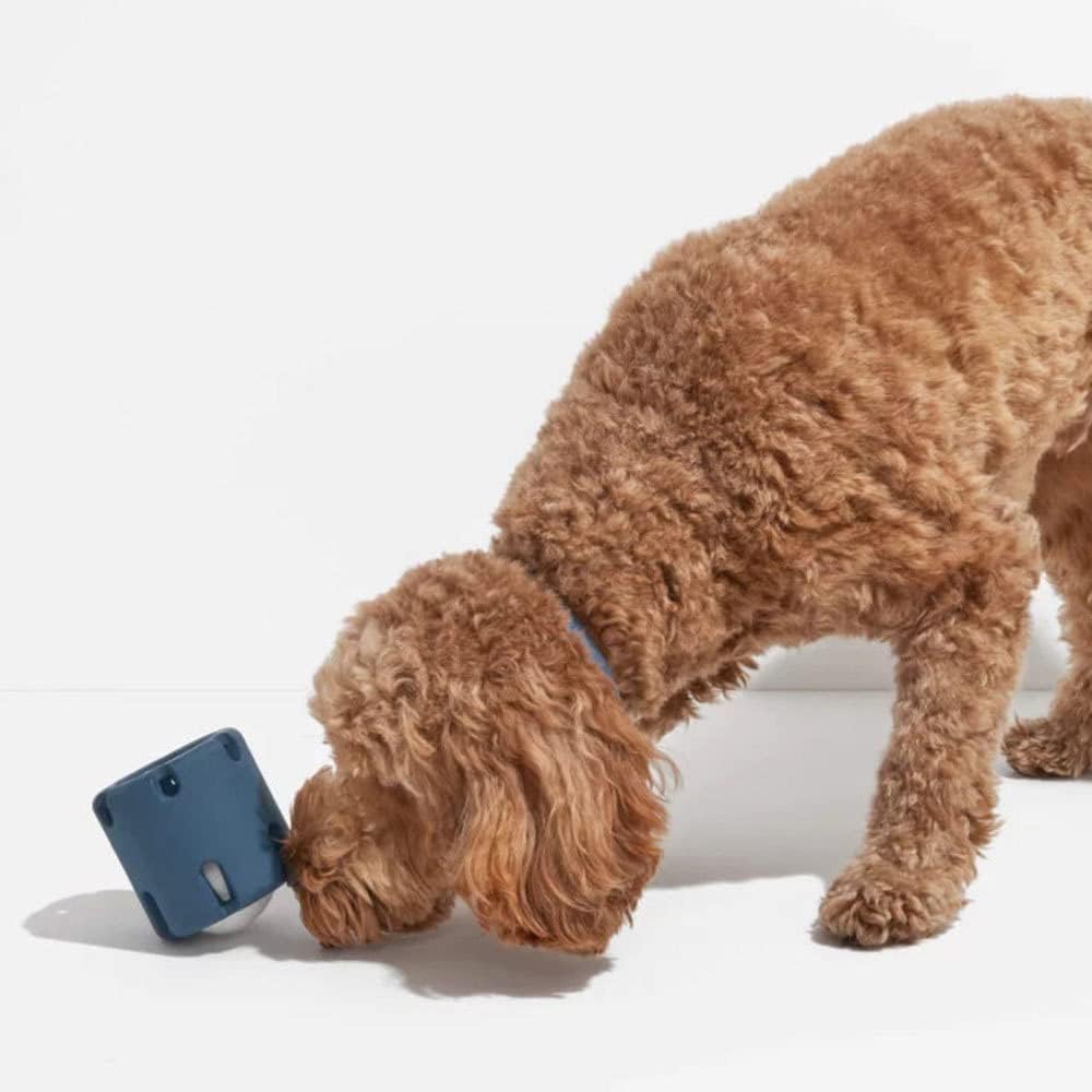 ChewJoy Pro – Healthy Teeth, Happy Dog