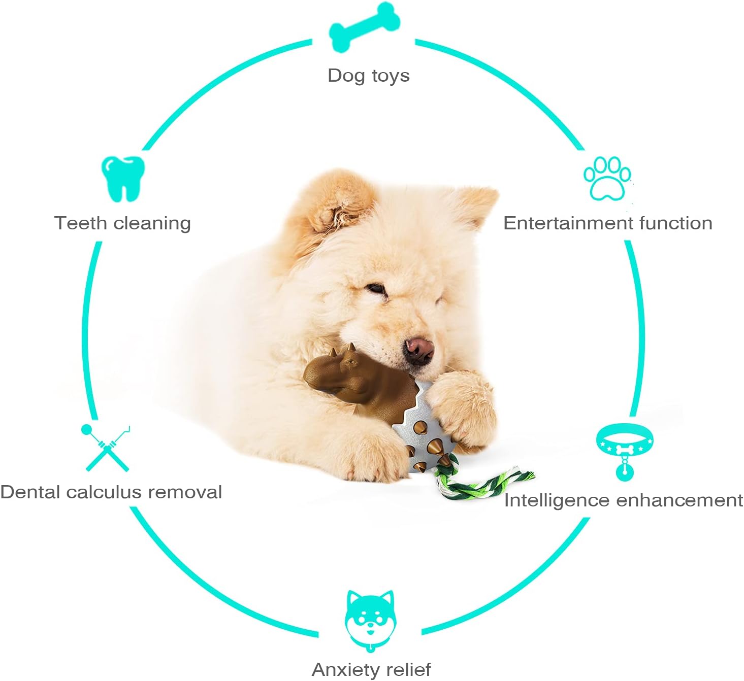 DinoEgg – The Indestructible Chew Egg for Healthy Dog Teeth!