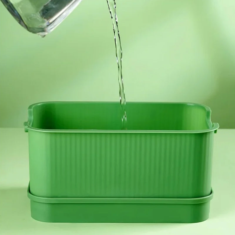 1+1 FREE | GreenBox – Fresh Sprouts Grown Daily Yourself