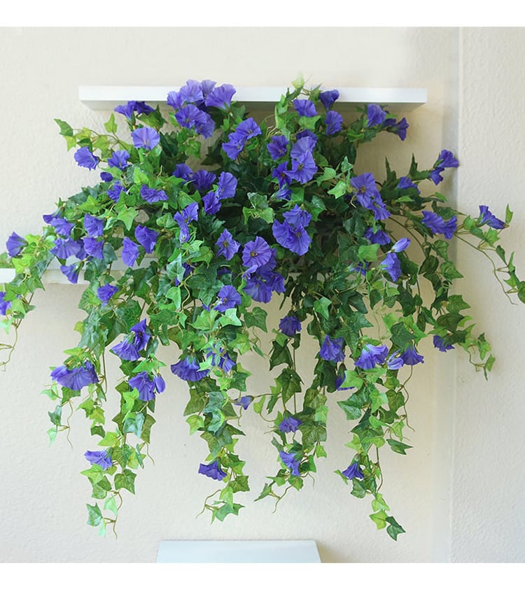 3+3 FREE | EverBloom - Vibrant, Low-Maintenance Color That Lasts Forev ...