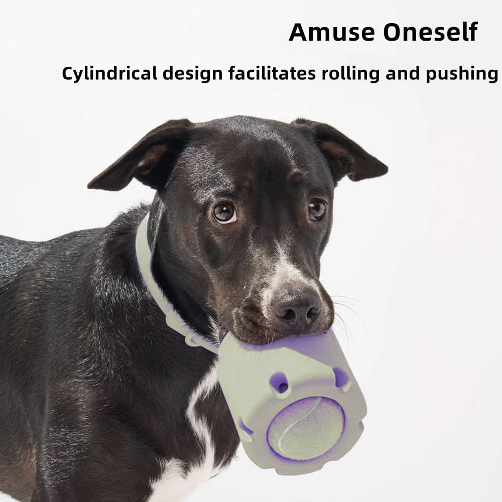 ChewJoy Pro – Healthy Teeth, Happy Dog