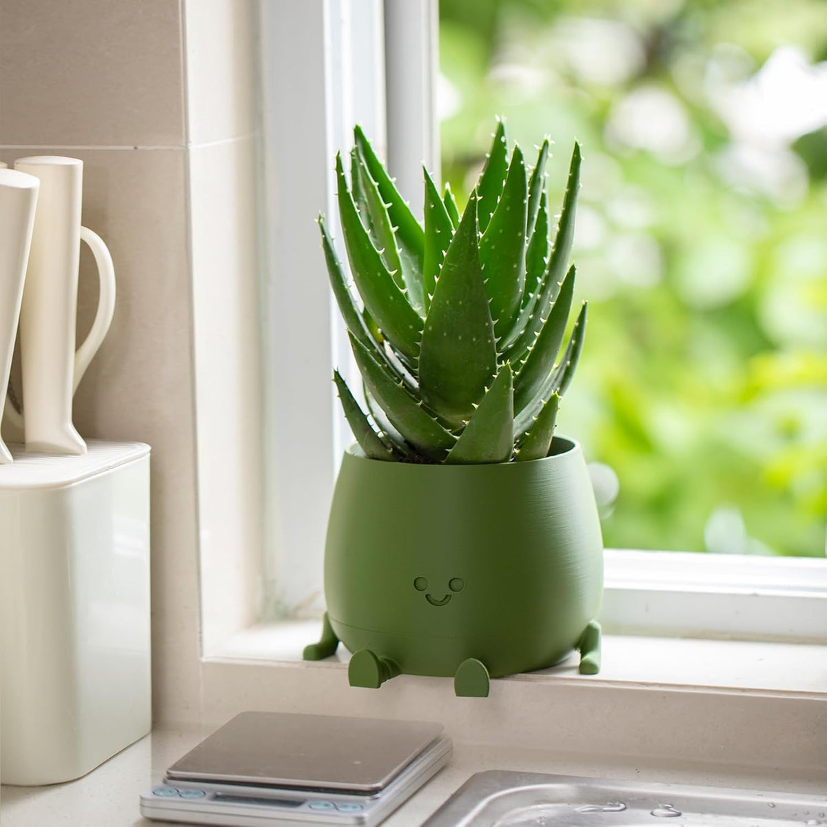BloomBuddy – Smiling Plants, Happy Home