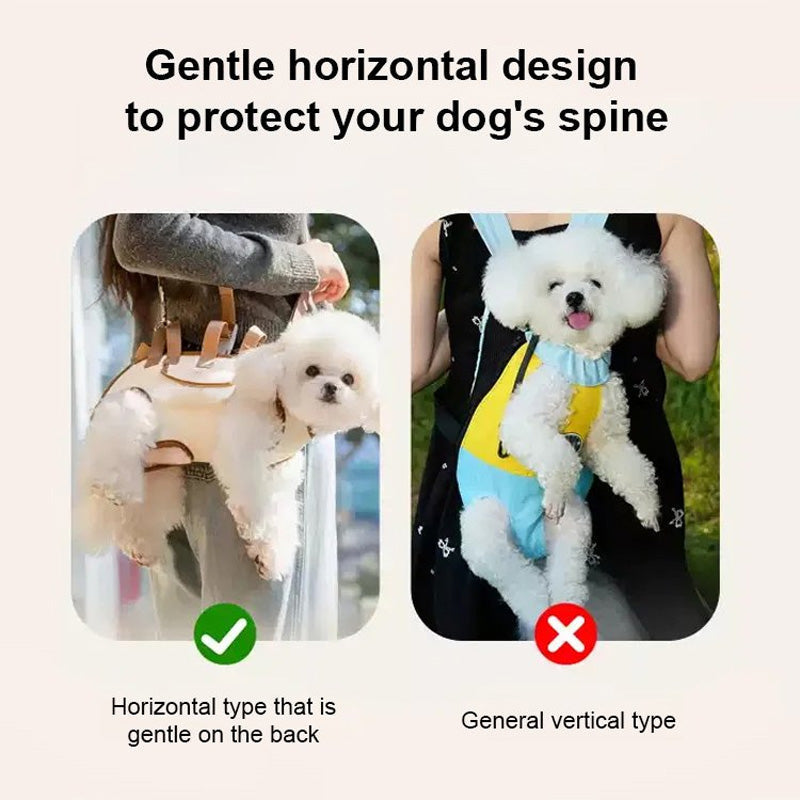 PetGo – Comfort & Safety for You and Your Pet
