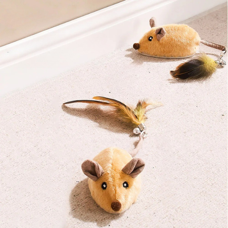 CatChase – The wild hunting fun for curious cats!