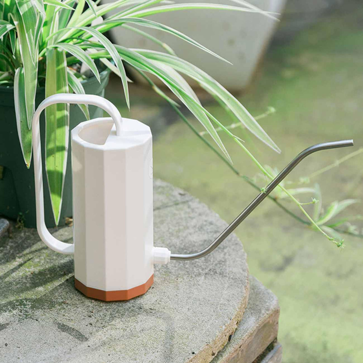 PlantPulse – Perfectly precise watering for healthier, happier plants