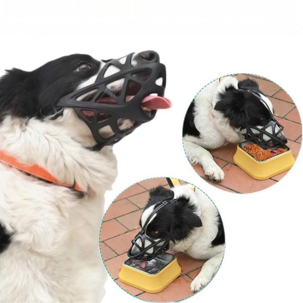 BarkGuard - Instantly Calms Dogs, Stops Safe Biting and Barking