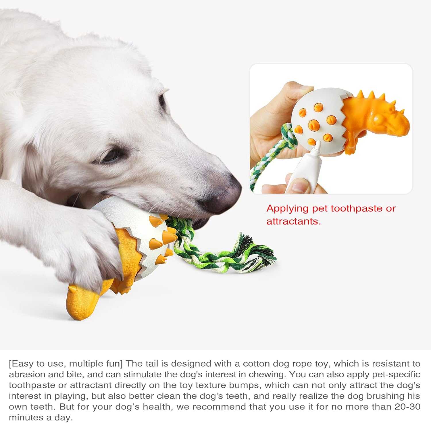 DinoEgg – The Indestructible Chew Egg for Healthy Dog Teeth!