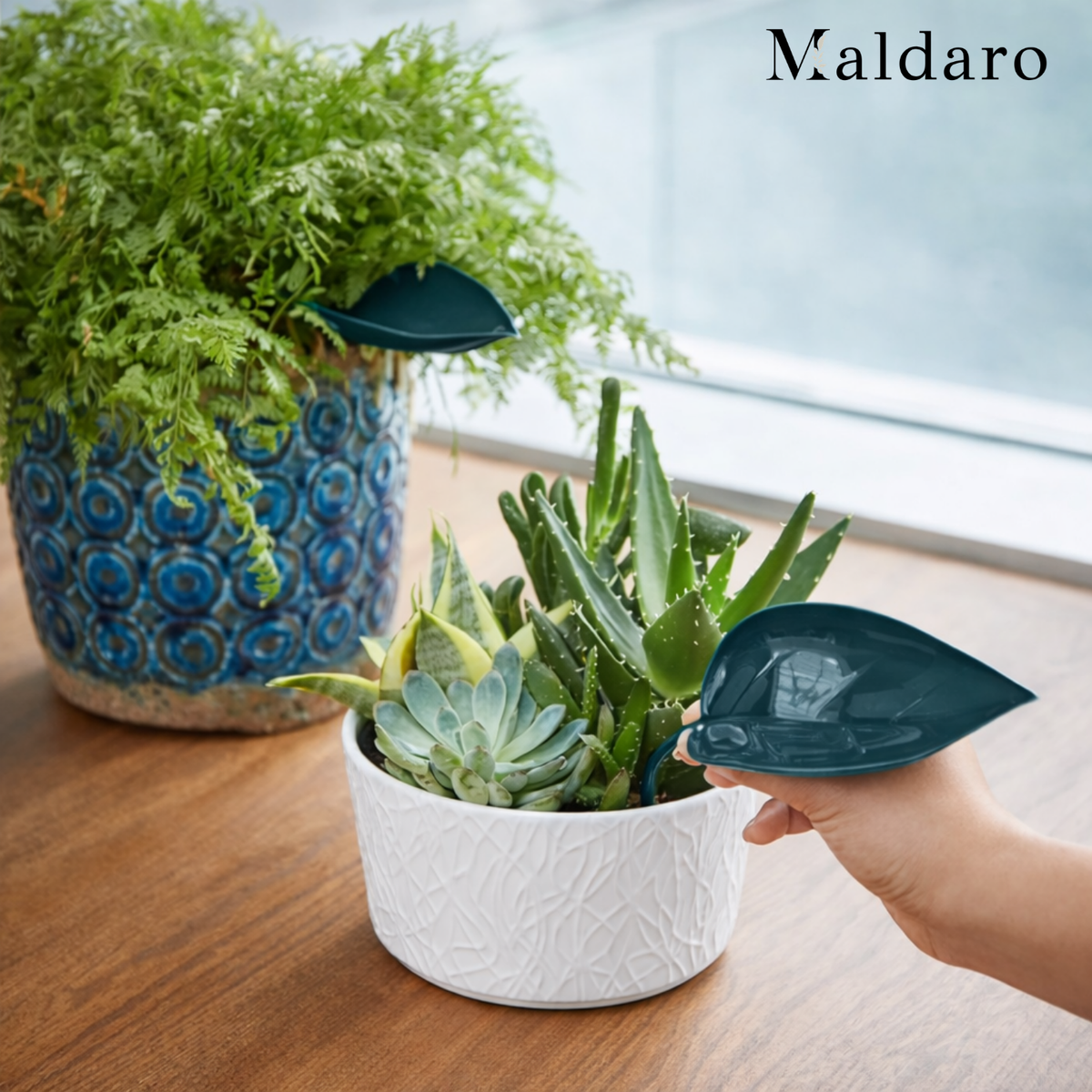 2+1 FREE | WateringLeave - Clean aquatic plants without spilling or mess, every time