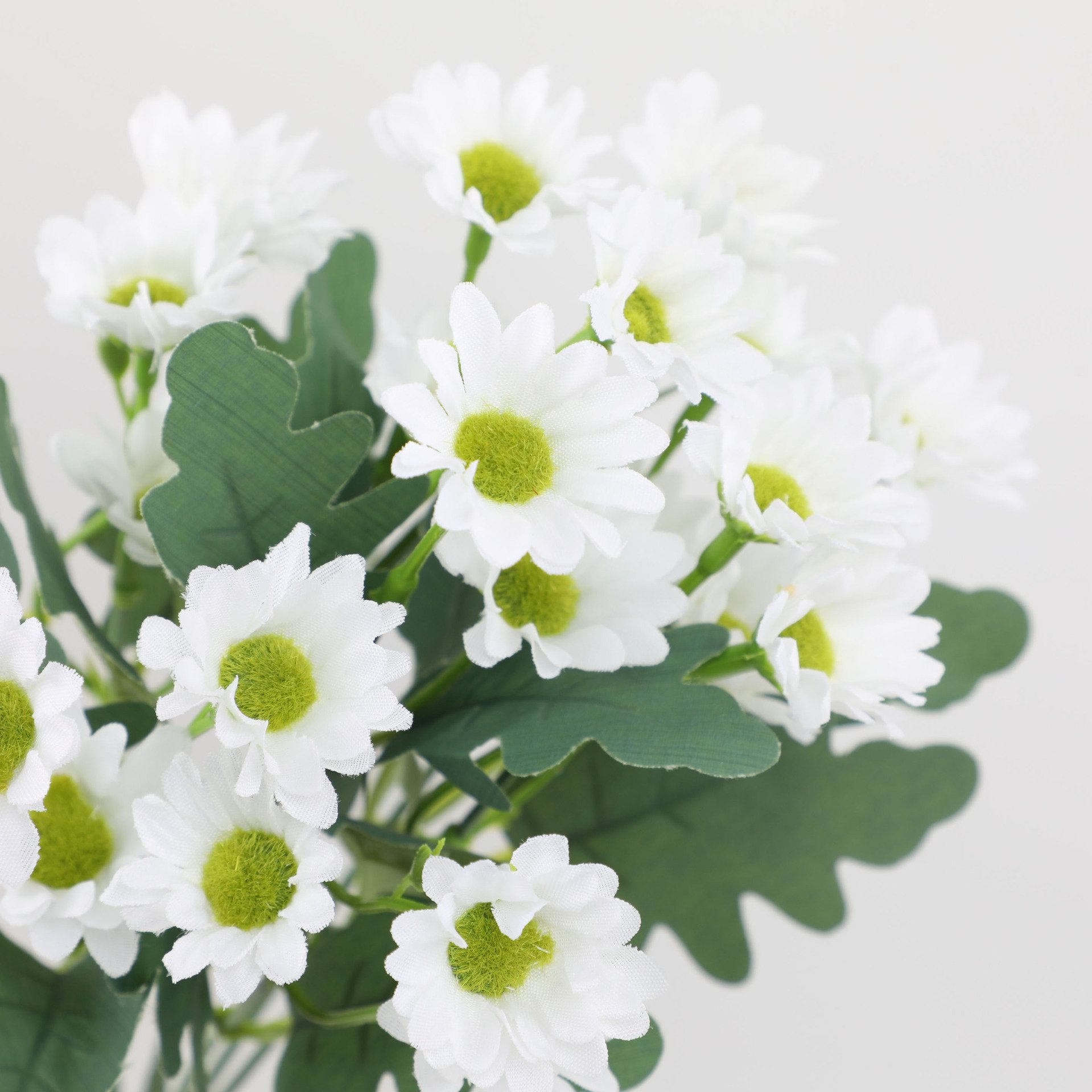 2+1 FREE | BloomoraSunset – Autumnal Color Splendor That Never Fades