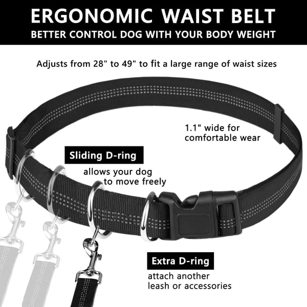 BestBuddy – Freedom & Control on Every Walk!