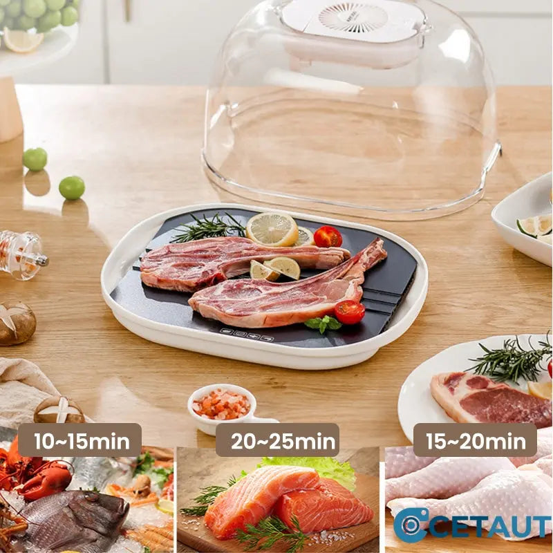 FreshThaw Pro – Meat in Minutes Instead of Hours!