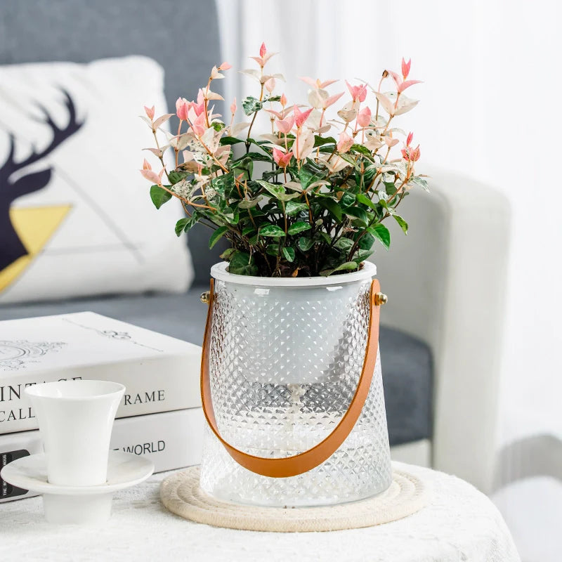 HydroponicPlanter – Keep Your Indoor Plants Effortlessly Hydrated All Day Long