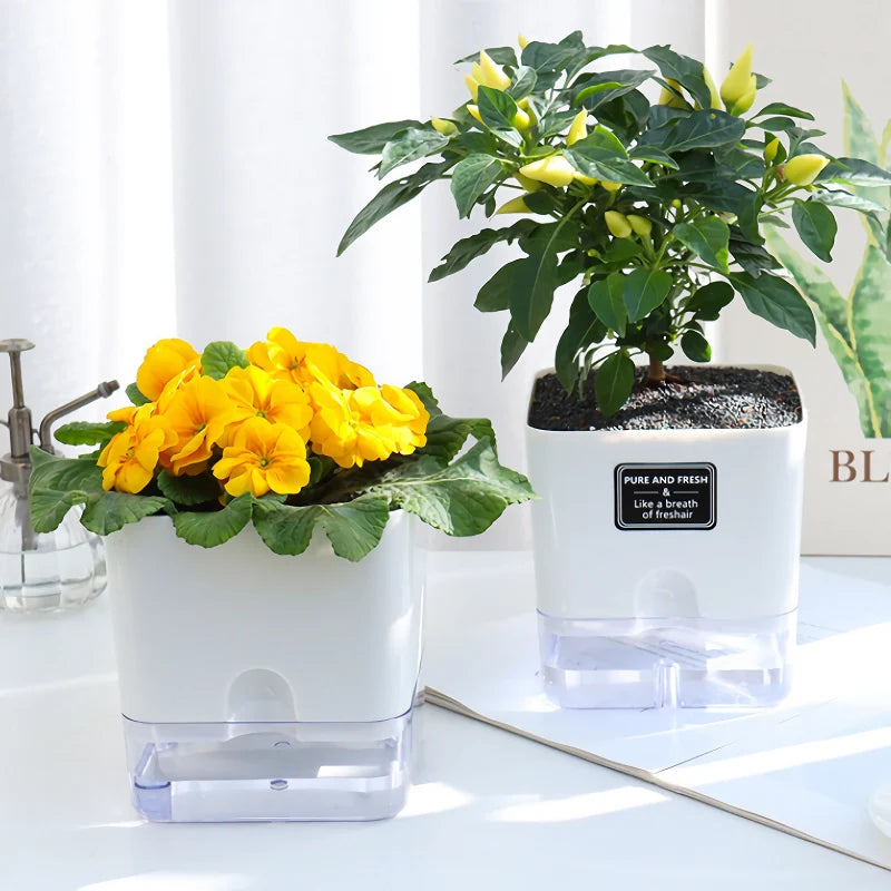 GreenEase – Let Plants Thrive Without Daily Watering Problems