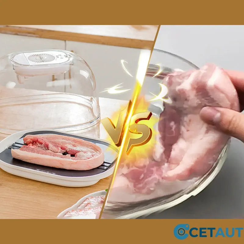 FreshThaw Pro – Meat in Minutes Instead of Hours!