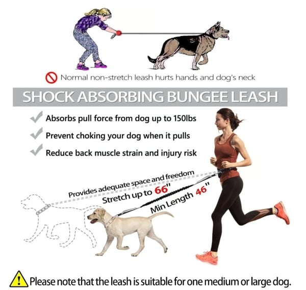 BestBuddy – Freedom & Control on Every Walk!