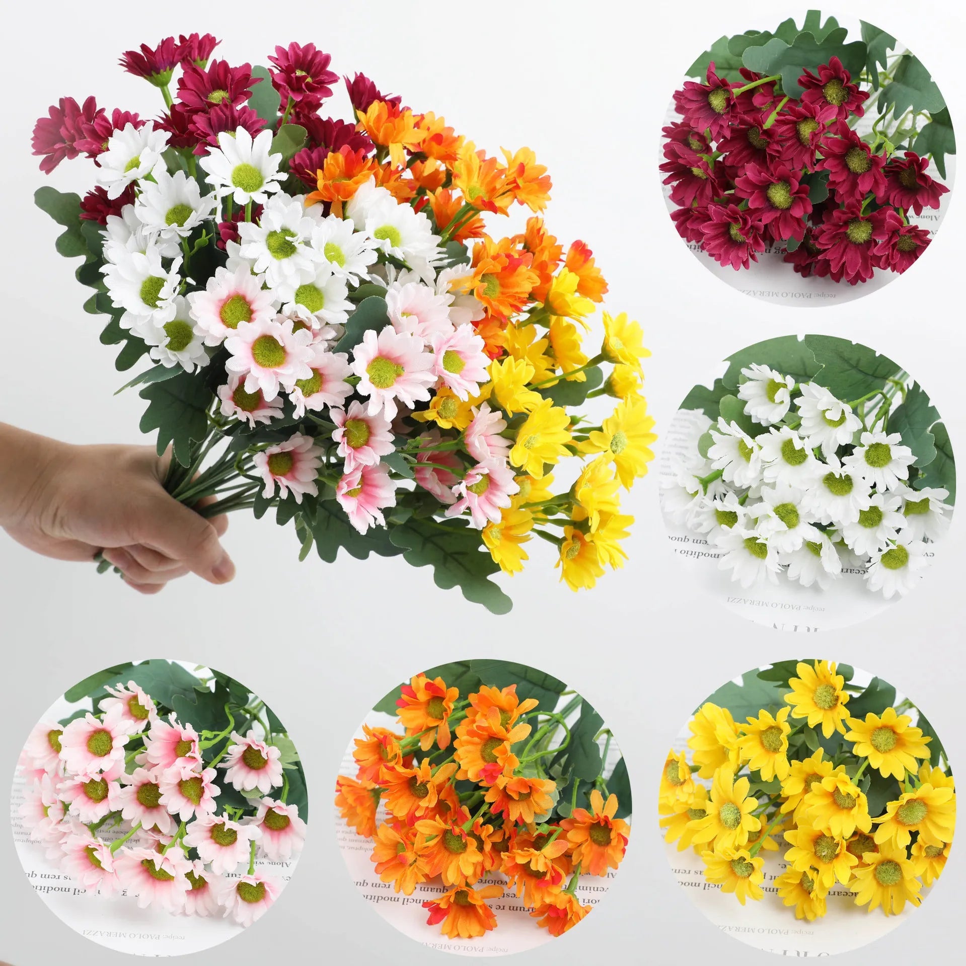 1+1 FREE | EverDaisies – Radiant Beauty That Never Fades!