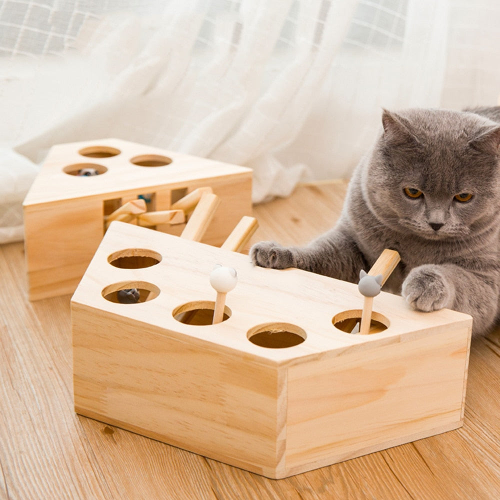 PawFun Wood – Endless Play Fun for Happy Cats!