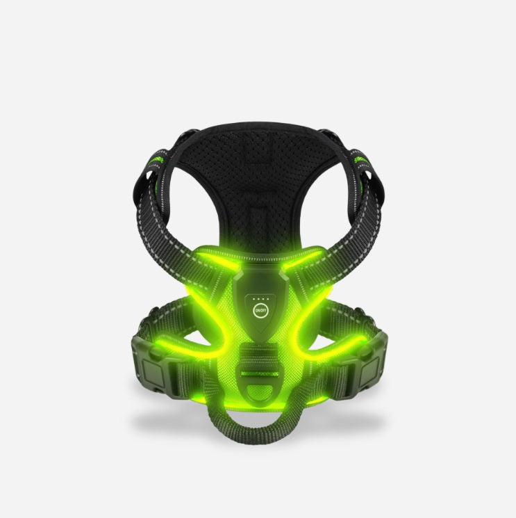 PawGuard – Walk Safely & Stylishly