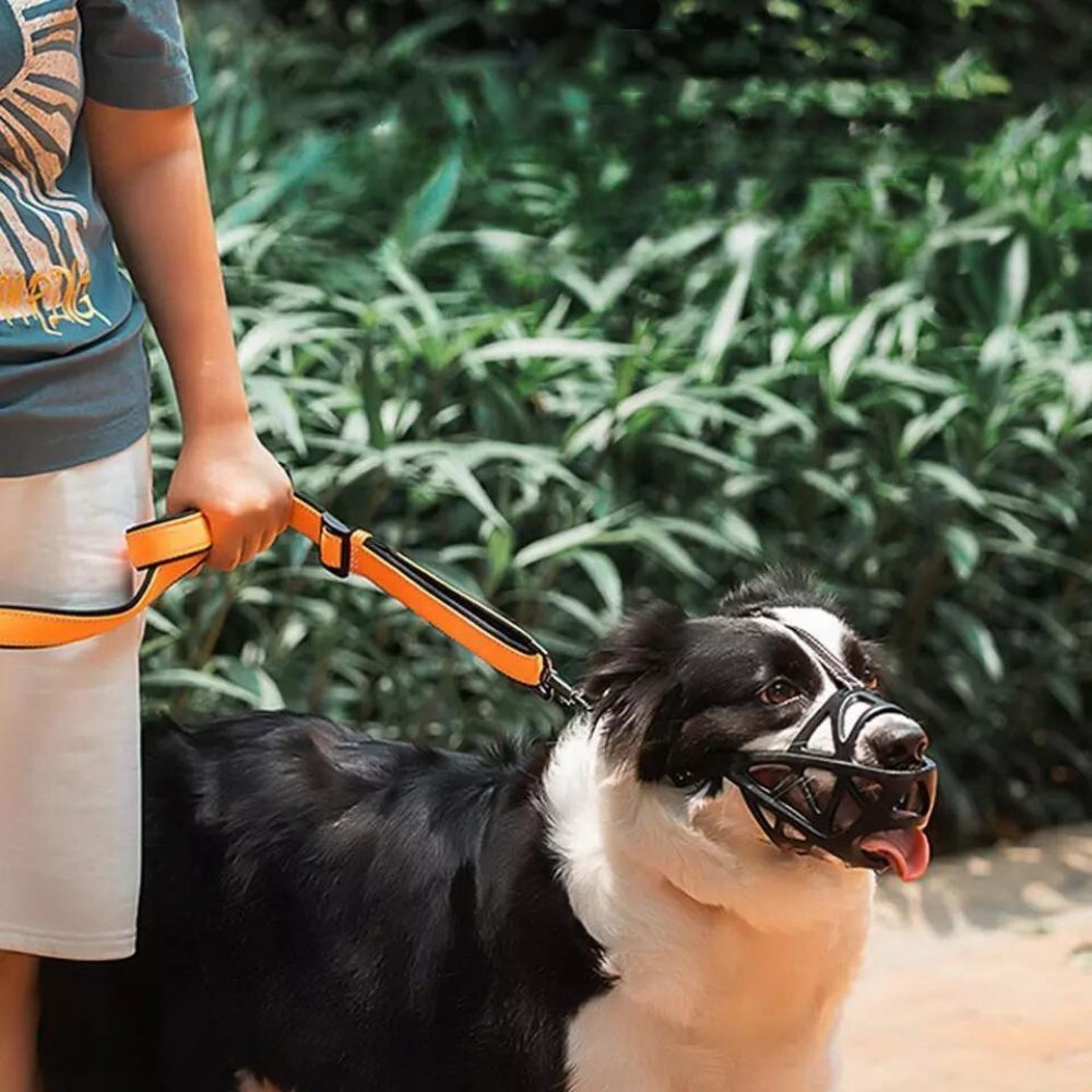 BarkGuard - Instantly Calms Dogs, Stops Safe Biting and Barking