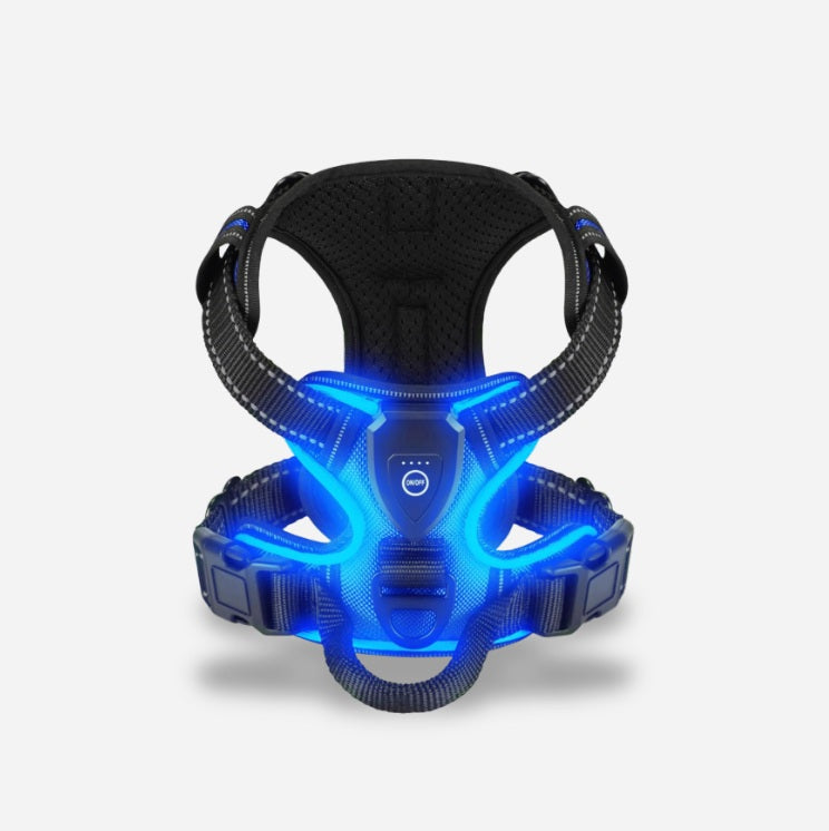 PawGuard – Walk Safely & Stylishly