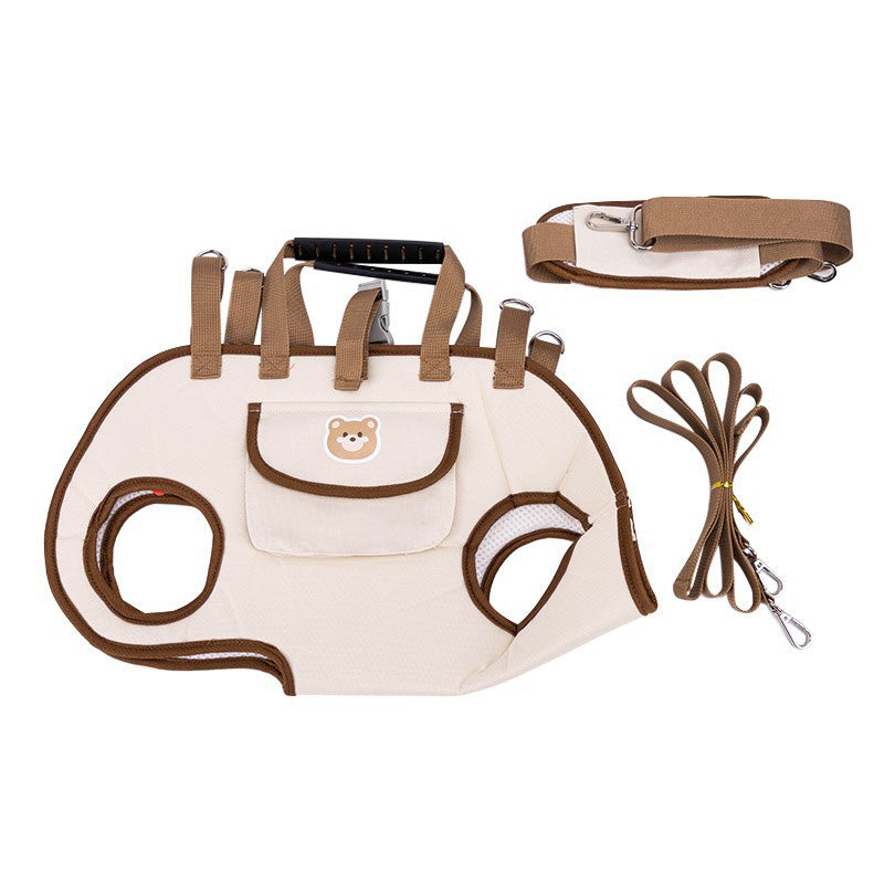 PetGo – Comfort & Safety for You and Your Pet