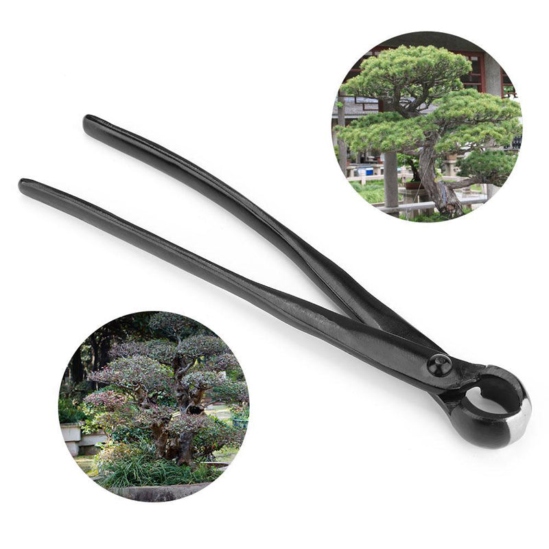 BonsaiEdge – Perfect Precision Cuts for Healthy, Beautiful Bonsai