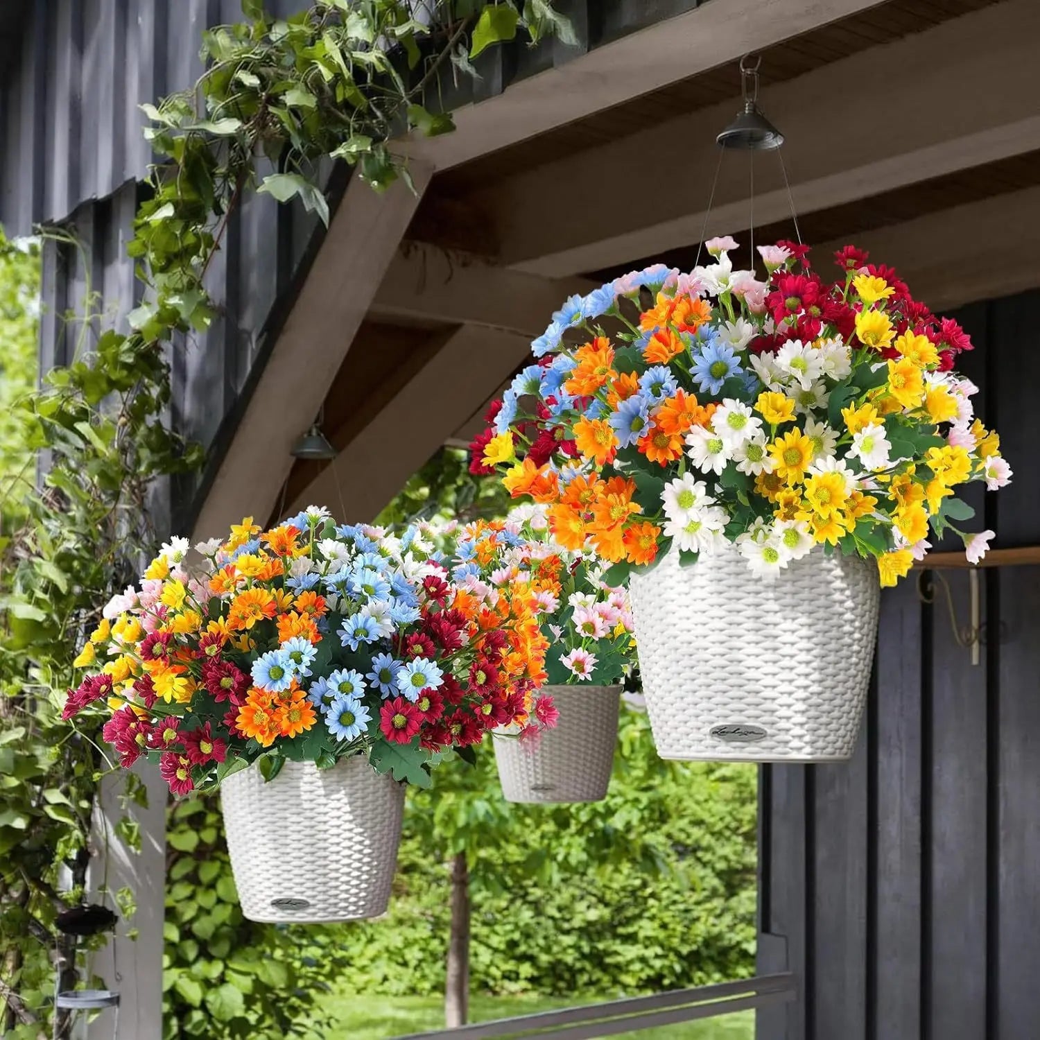 1+1 FREE | EverDaisies – Radiant Beauty That Never Fades!