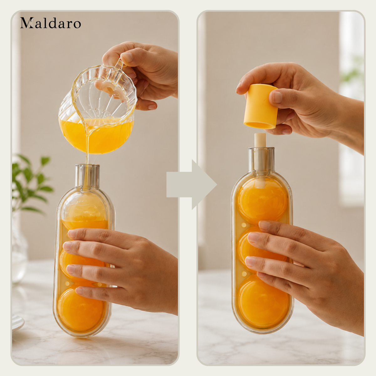 1+1 FREE | FreezeSip – Enjoy Drip-Free Ice Lollies and Drink Every Last Drop
