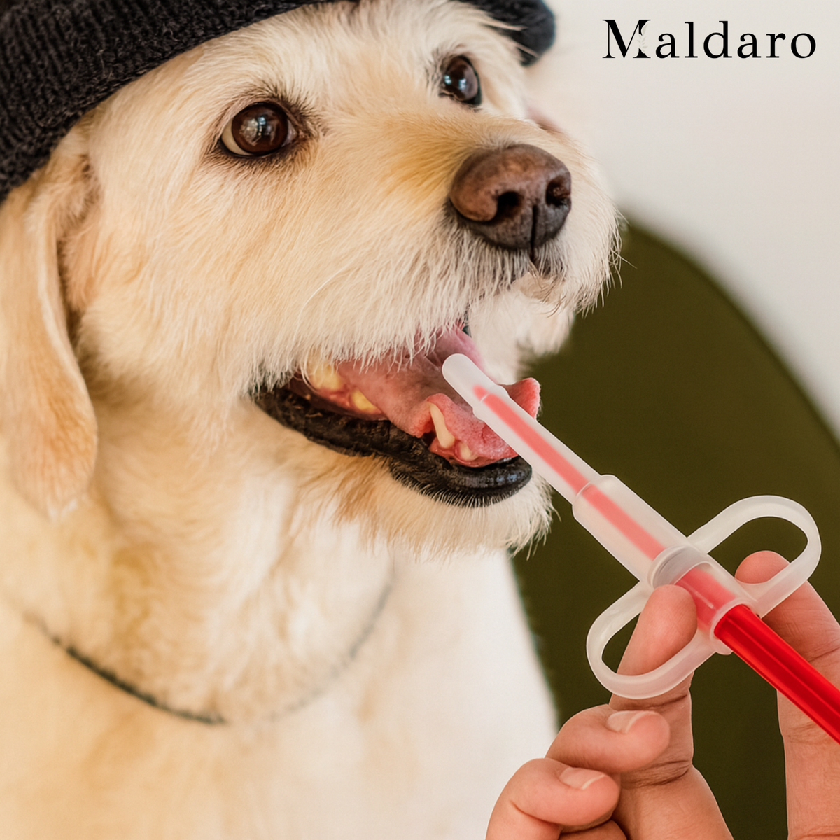 2+2 FREE | PetPal Pro – Stress-Free, Fast Medication and Tablet Dispenser for Pets