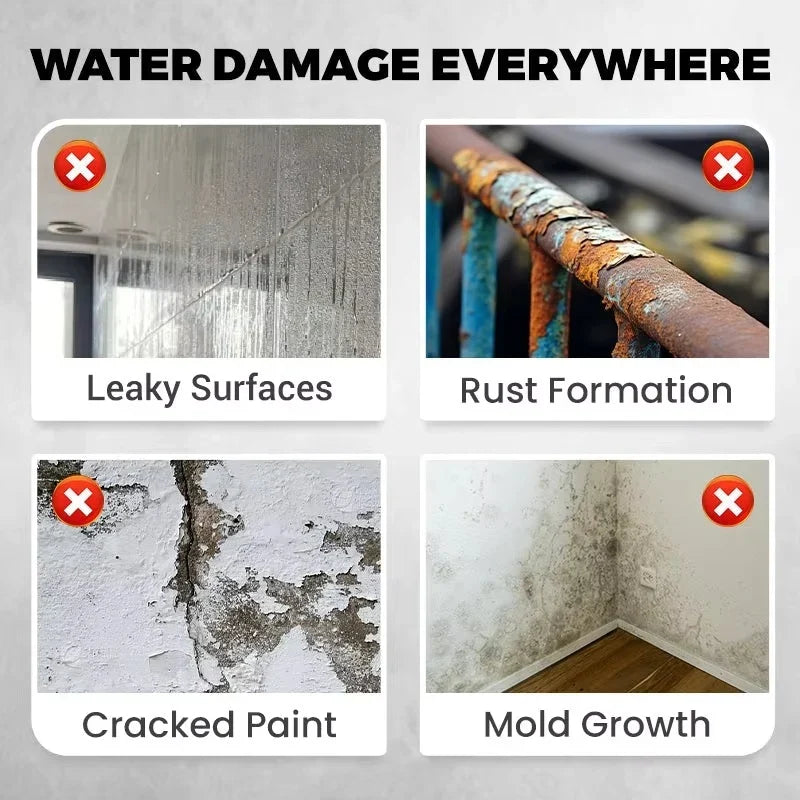 WaterGuardPro – Keep Your Home Forever Dry