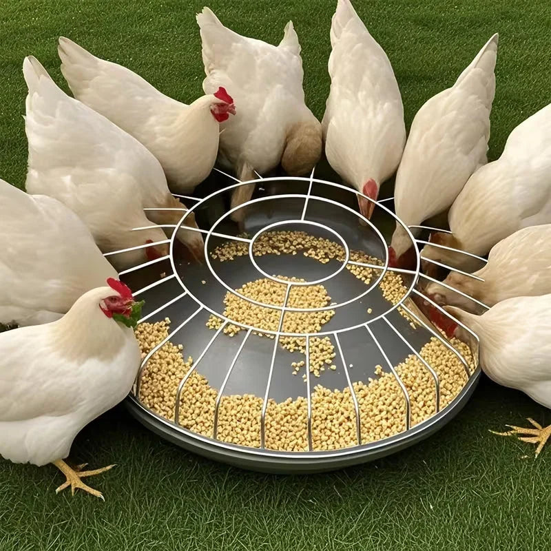 CircleChow – Calm, Fair, Complete Meals