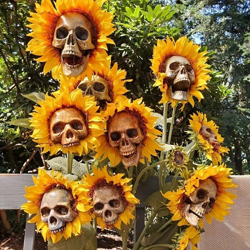 BloomSkull – The Spookily Beautiful Sunflower for Halloween!