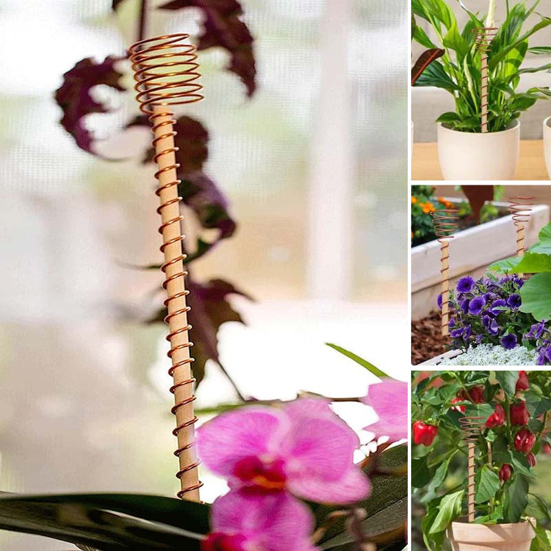 2+3 FREE | GrowPulse – Naturally Promote Plant Growth for Bigger, Healthier Harvests