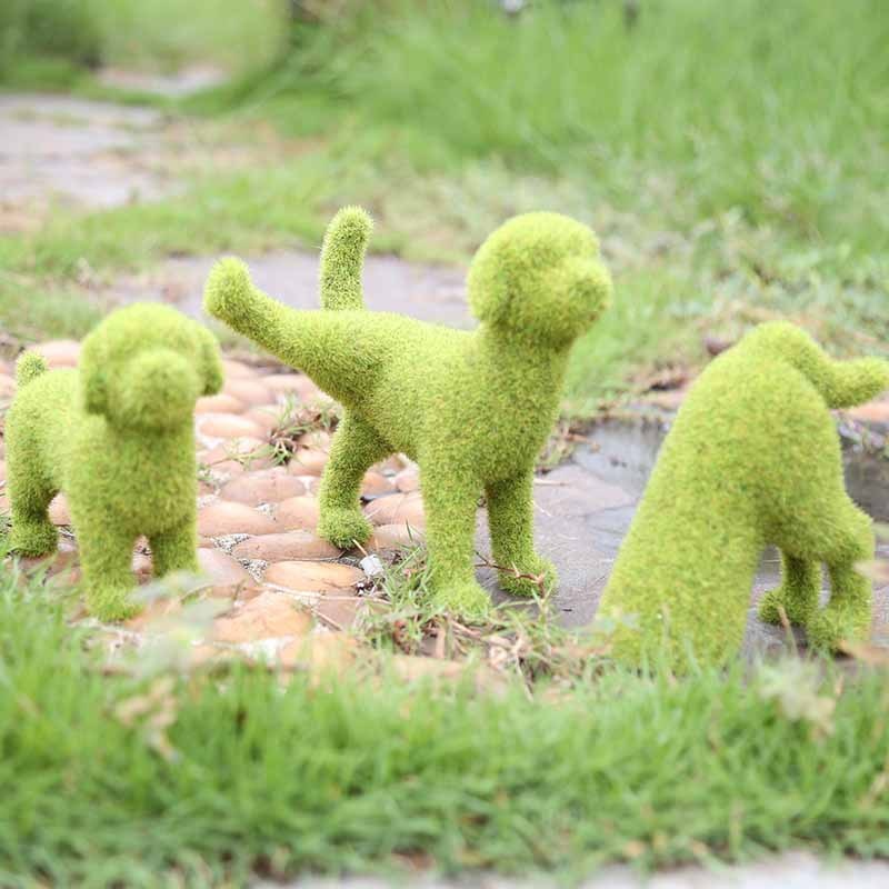 GreenPaw – Instantly Transform Your Garden into a Vibrant Oasis