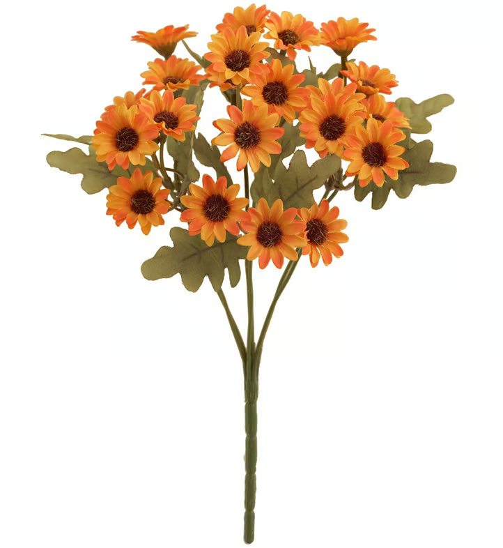 AutumnBloom – Lasting Autumn Splendor Without Maintenance!