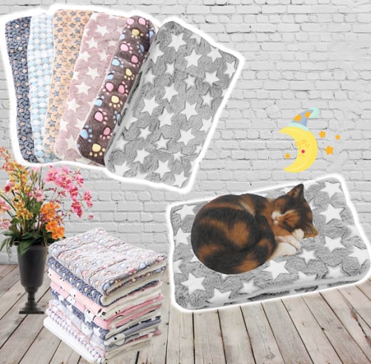 CozyPaw – Deep Relaxation for Your Cat!