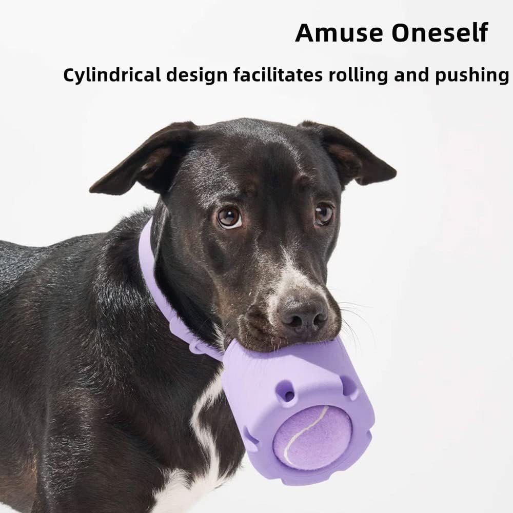 ChewJoy Pro – Healthy Teeth, Happy Dog