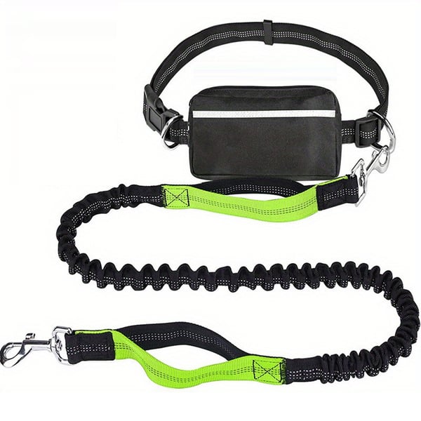 BestBuddy – Freedom & Control on Every Walk!
