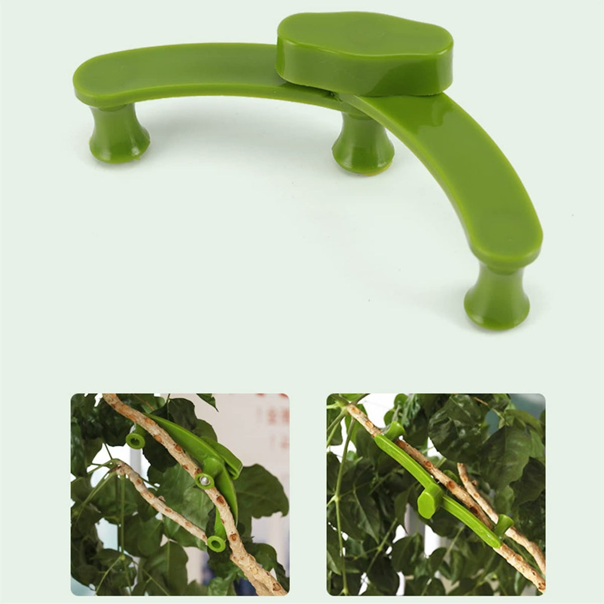 2+3 FREE | PlantHeld - Keep plants strong, upright, and healthy daily