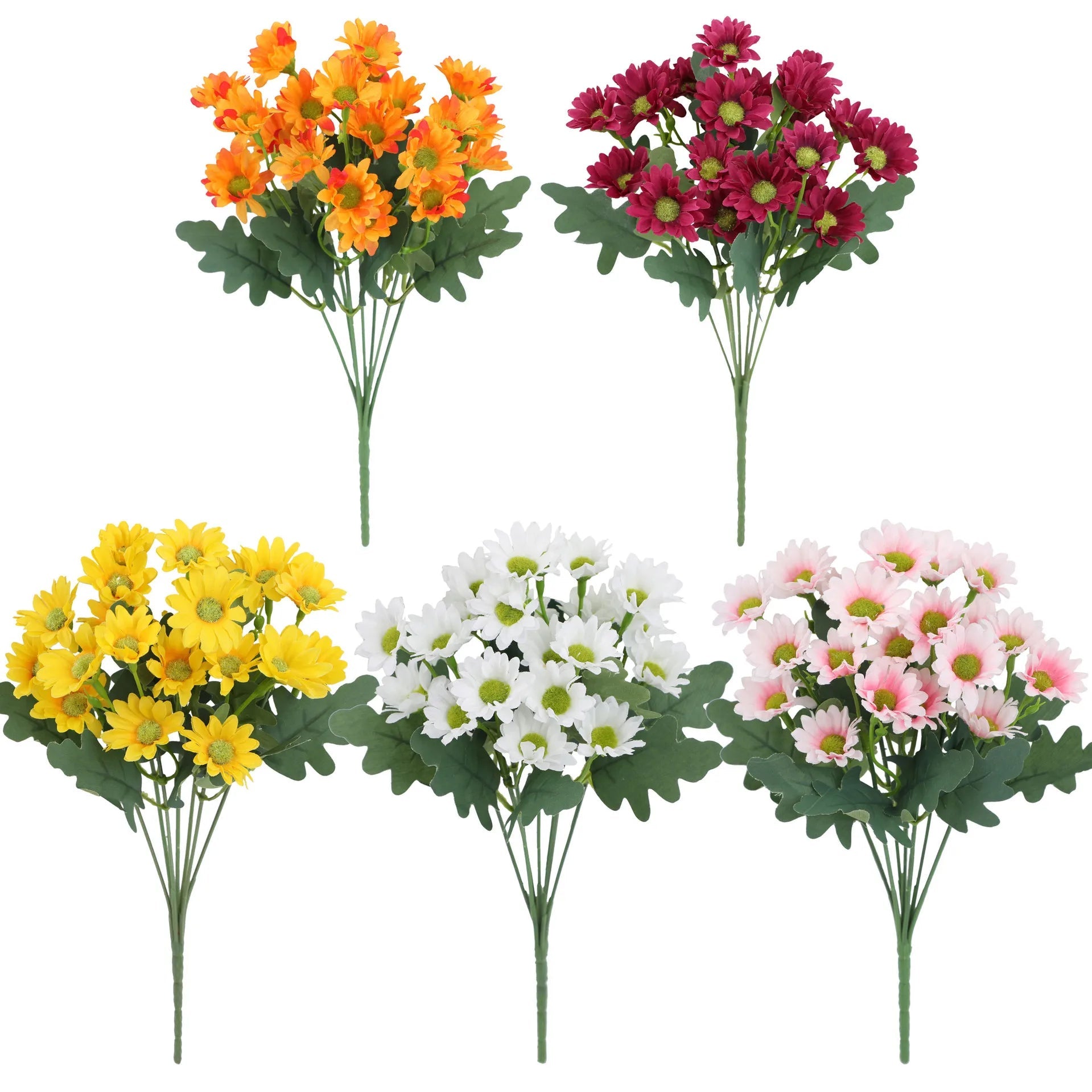 1+1 FREE | EverDaisies – Radiant Beauty That Never Fades!